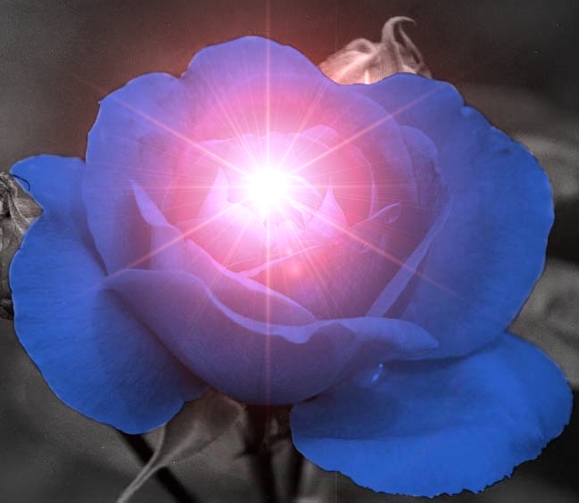 blu.jpg
